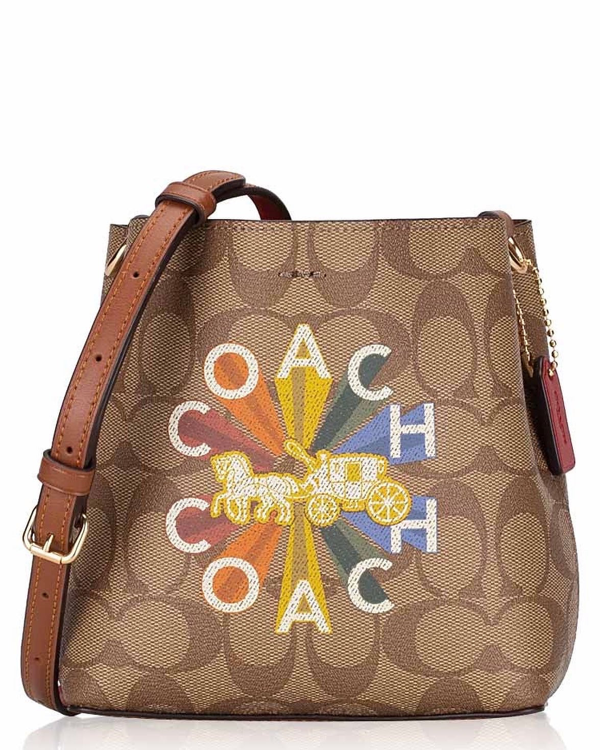 coach small town bucket bag review