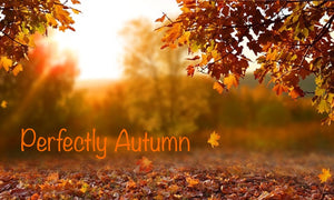 Perfectly Autumn | Scented Tin Candle | Wooden Wick